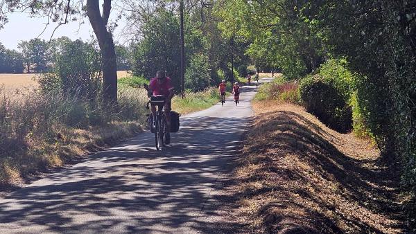 Four cyclists on narrow country road flanked by trees and tall grasses, rider in foreground with pannier bags, others following under dappled sunlight on pavement.