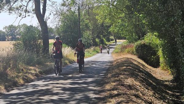 Cyclists ride along tree-lined rural lane with dappled shadows on pavement, golden fields visible through gaps in foliage, multiple riders in cycling gear ahead.