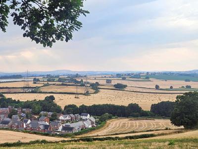 Elevated view over village with clustered houses surrounded by patchwork fields and hedgerows, tree branches framing top edge, distant hills visible on horizon under pale blue sky.
