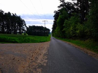 Straight rural road between fields and forest with power lines overhead.