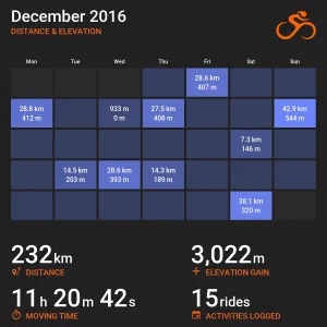 card_2016_12.jpg